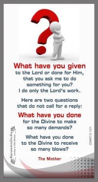 What Have You Done.jpg